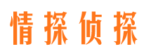 武山侦探